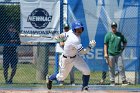 Baseball vs Babson  Wheaton College Baseball vs Babson during Championship game of the NEWMAC Championship hosted by Wheaton. - (Photo by Keith Nordstrom) : Wheaton, baseball, NEWMAC